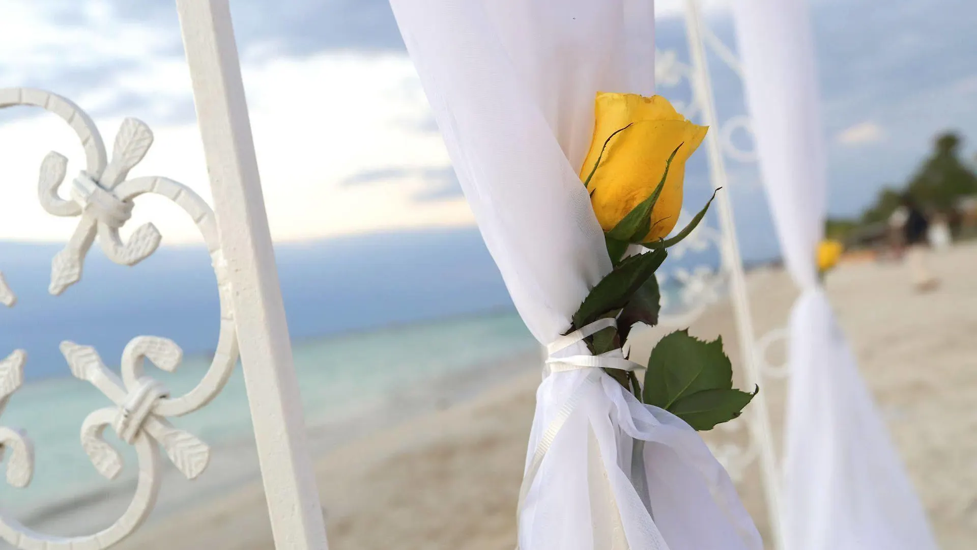 Negril Palms Hotel