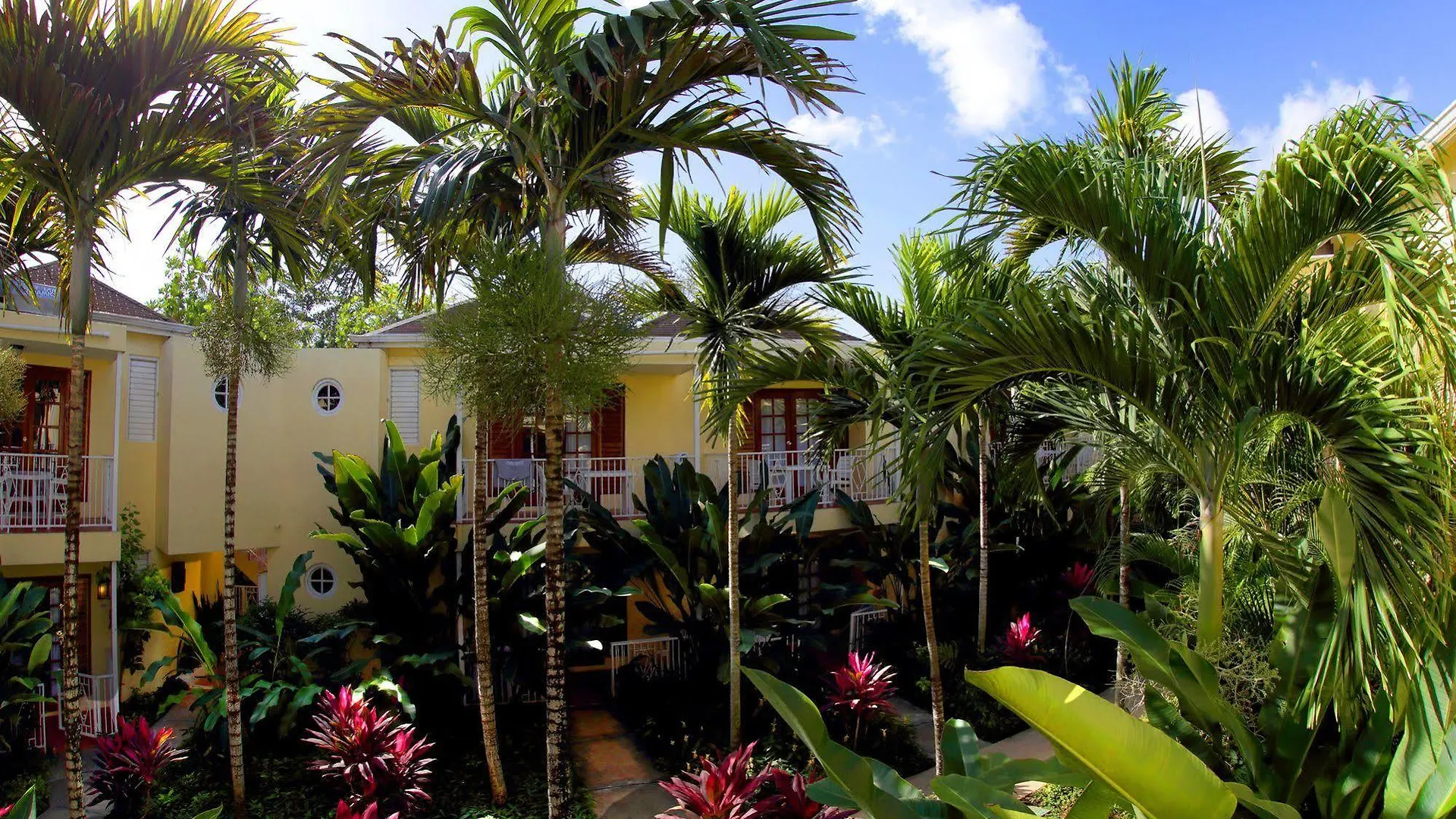 Negril Palms Hotel 3*,  Jamaica