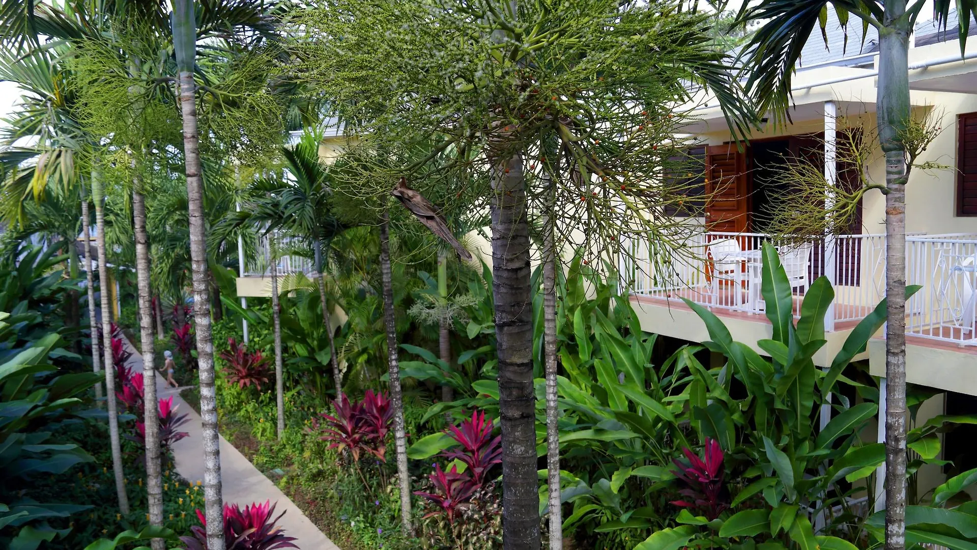 ***  Negril Palms 호텔 자메이카