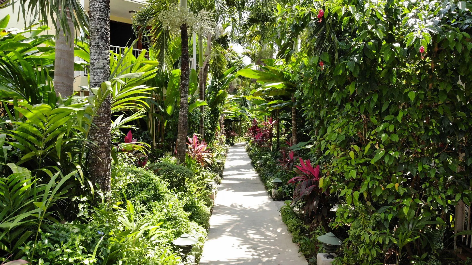 Negril Palms 호텔