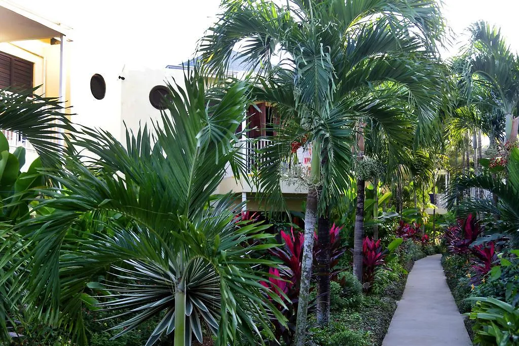 Negril Palms 호텔
