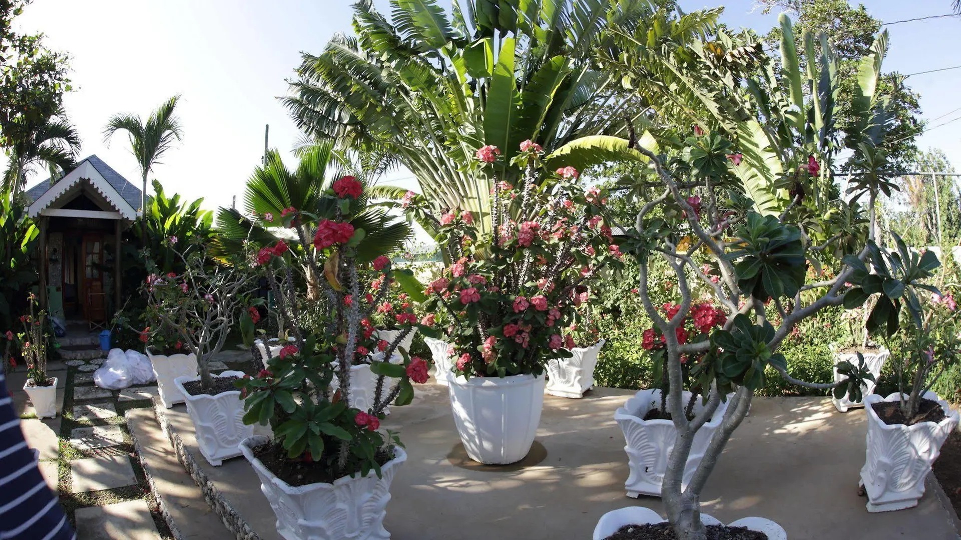 ***  Negril Palms 호텔 자메이카