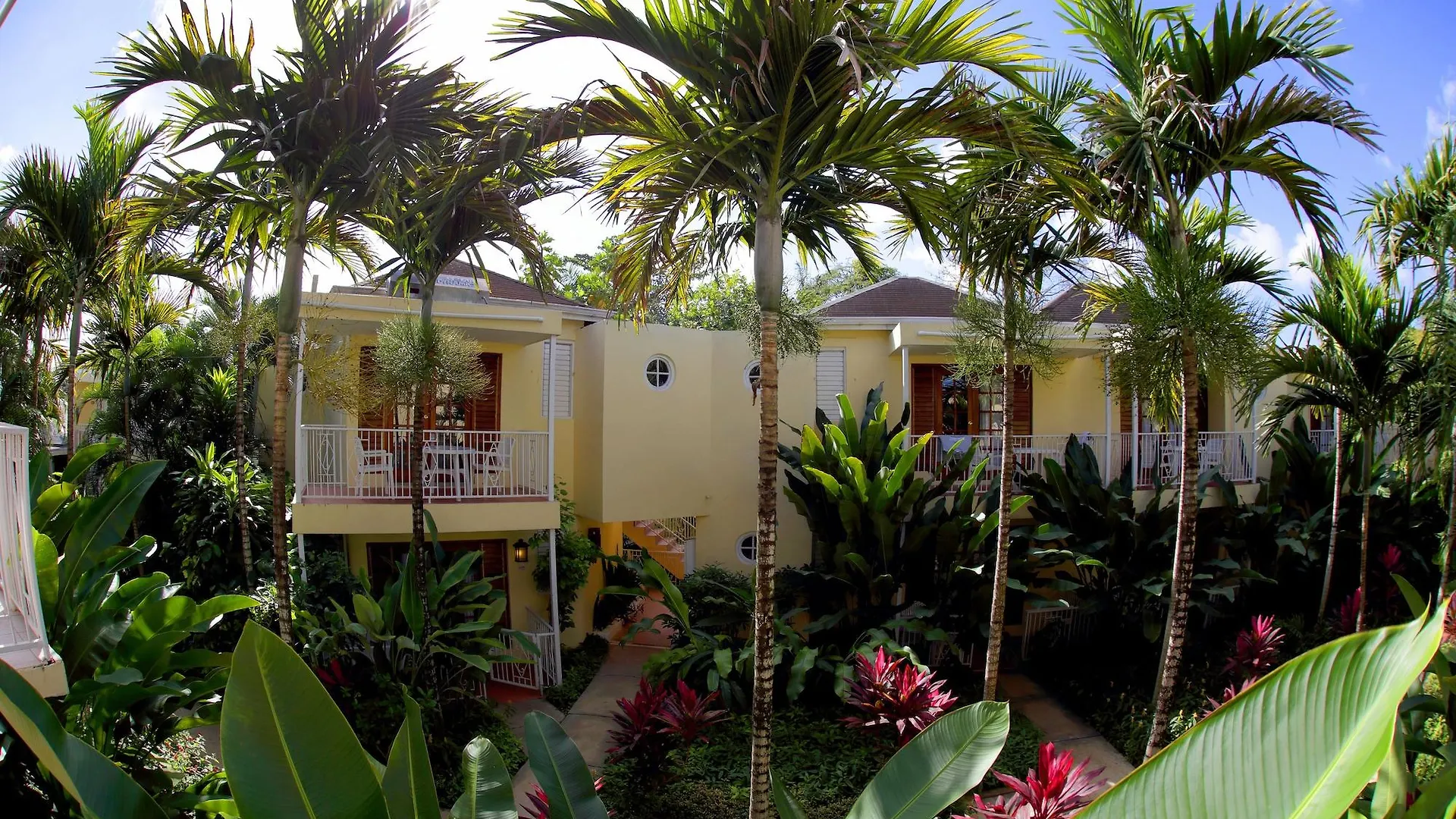Negril Palms Hotel