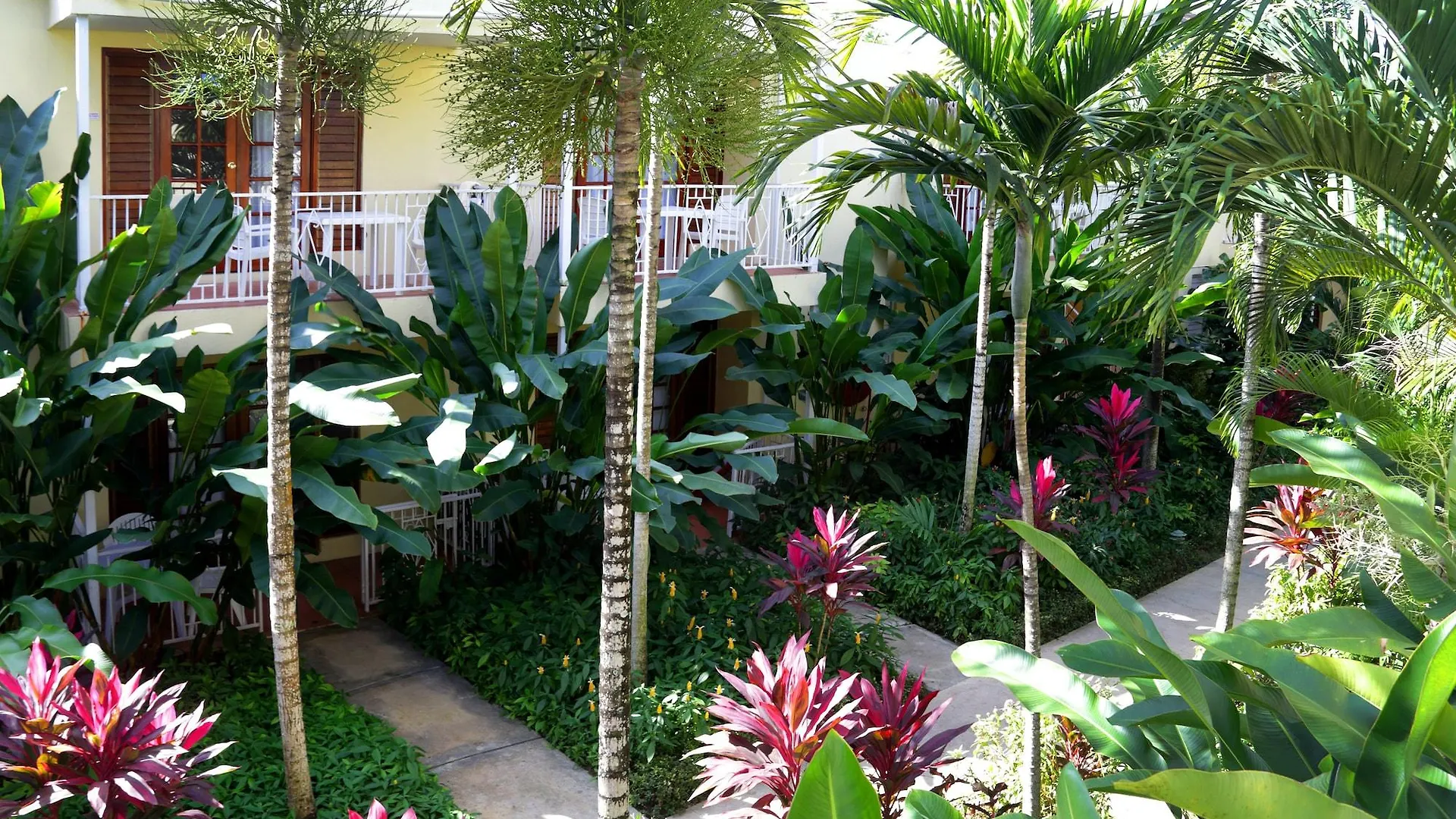 Negril Palms Hotel 3*,