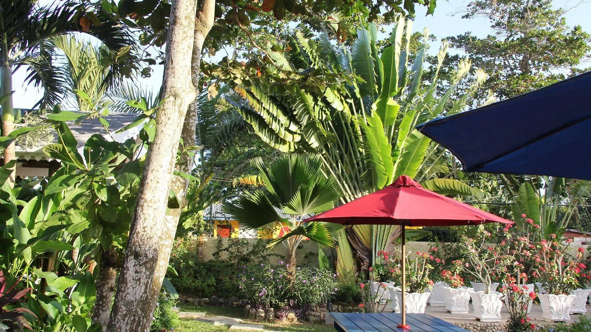 Negril Palms Hotel